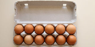 FREE RANGE EGGS - DOZEN